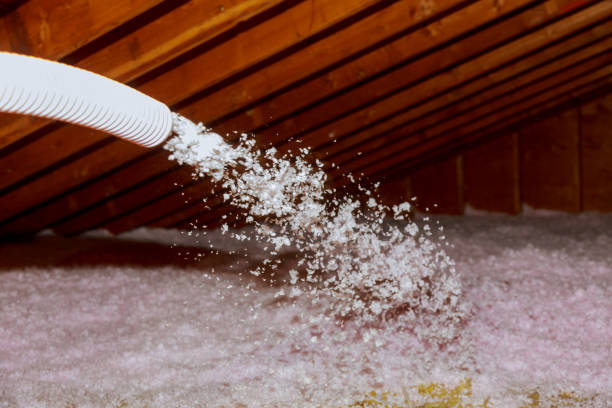 Best Insulation Materials and Products in Morrice, MI