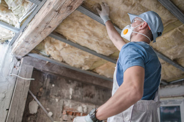Best Insulation for Specific Applications in Morrice, MI
