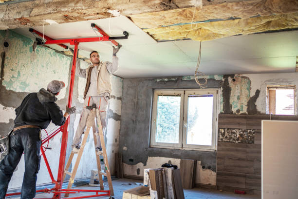 Best Types of Insulation in Morrice, MI