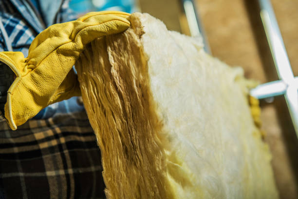 Best Specialty Insulation in Morrice, MI
