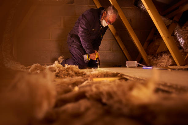 Best Residential Insulation in Morrice, MI